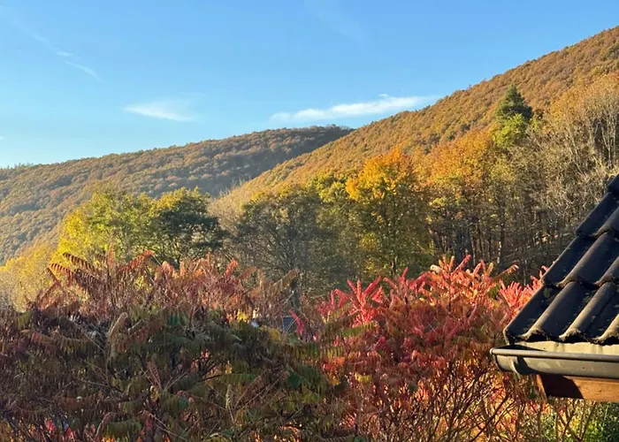 Дом отдыха Eifelurlaub - Kanadisches Blockstamm Fuer 12 Personen Шляйден