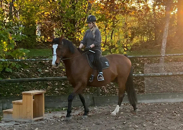 Дом отдыха Eifelurlaub - Kanadisches Blockstamm Fuer 12 Personen *